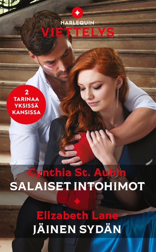 Book cover for Salaiset intohimot / Jäinen sydän