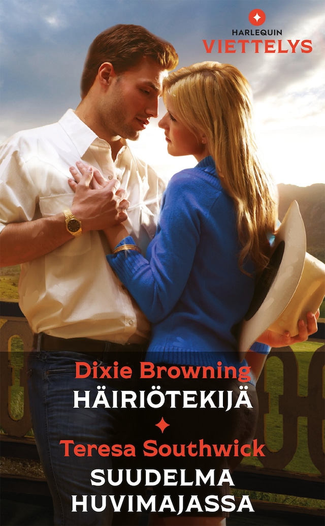 Book cover for Häiriötekijä / Suudelma huvimajassa