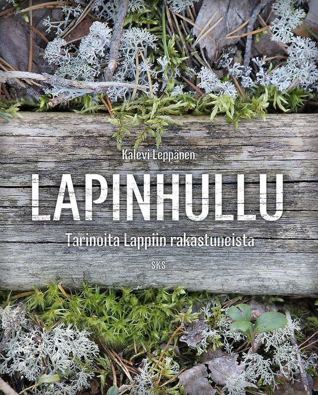 Book cover for Lapinhullu
