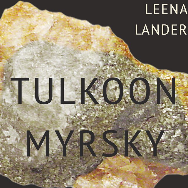 Book cover for Tulkoon myrsky