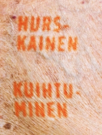 Kuihtuminen