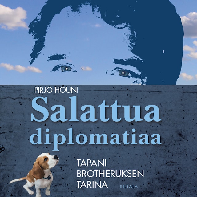 Book cover for Salattua diplomatiaa