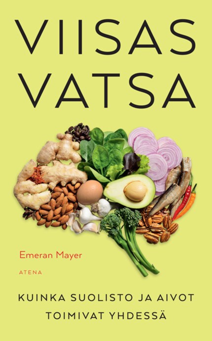 Viisas vatsa bookCoverFor