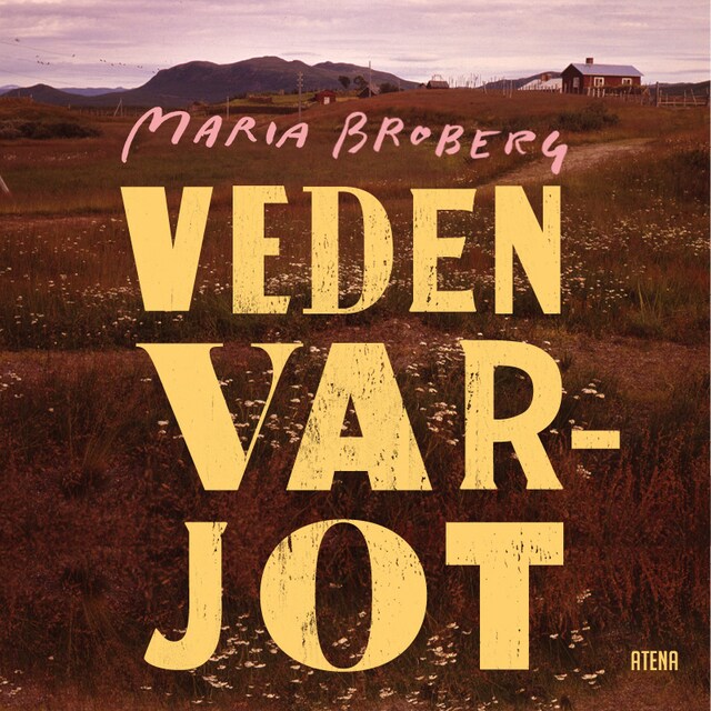 Book cover for Veden varjot