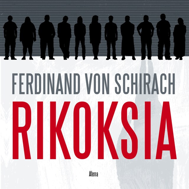 Book cover for Rikoksia
