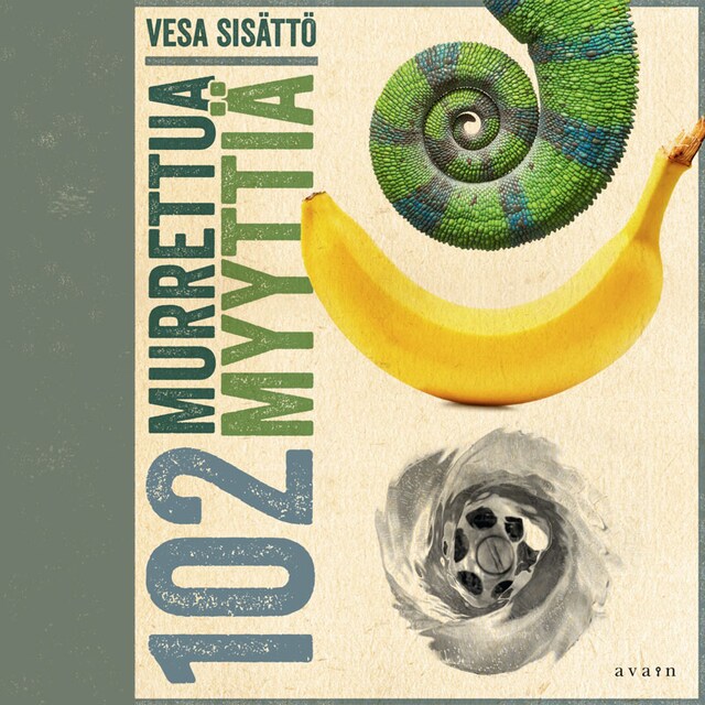 Book cover for 102 murrettua myyttiä