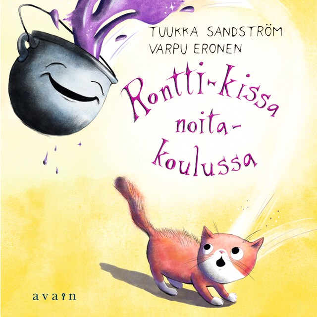 Buchcover für Rontti-kissa noitakoulussa