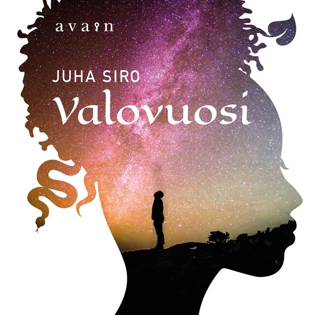 Book cover for Valovuosi