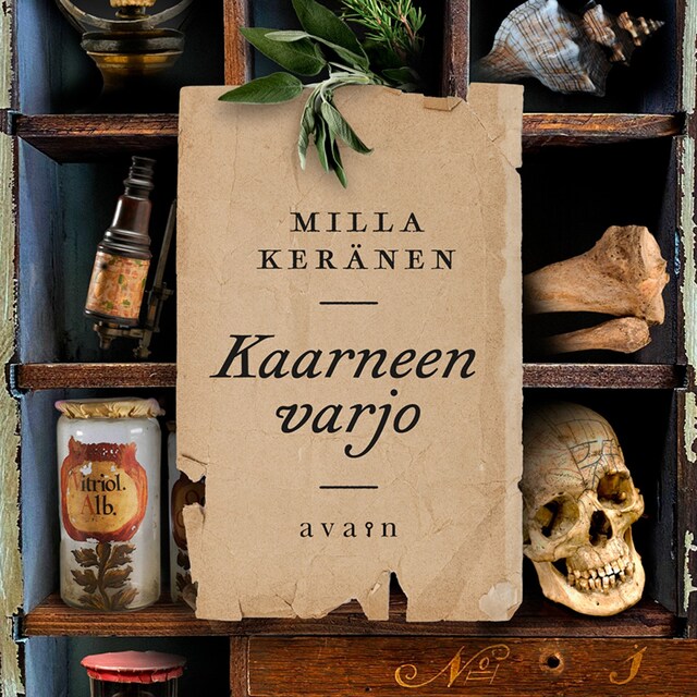 Book cover for Kaarneen varjo