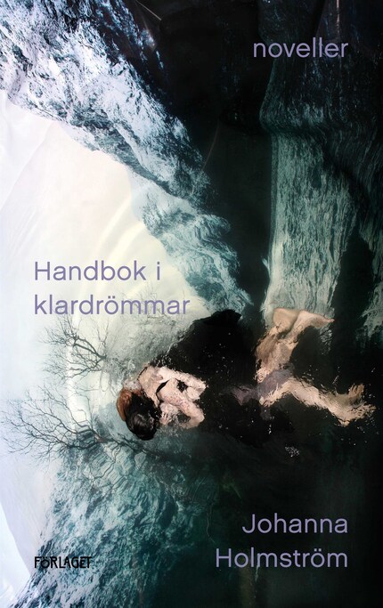Handbok i klardrömmar bookCoverFor