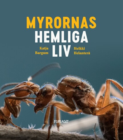 Myrornas hemliga liv bookCoverFor