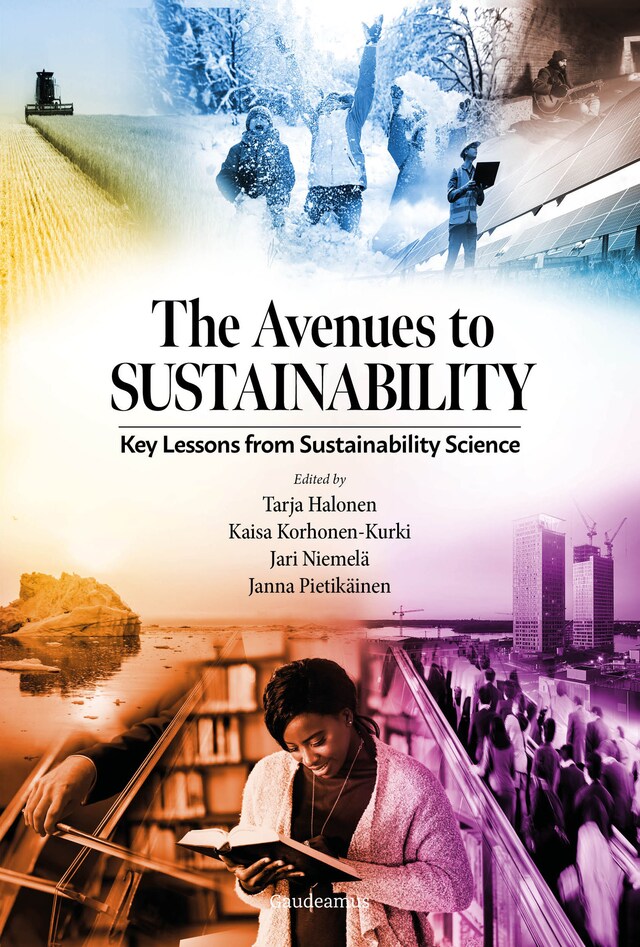 Book cover for The Avenues to Sustainability