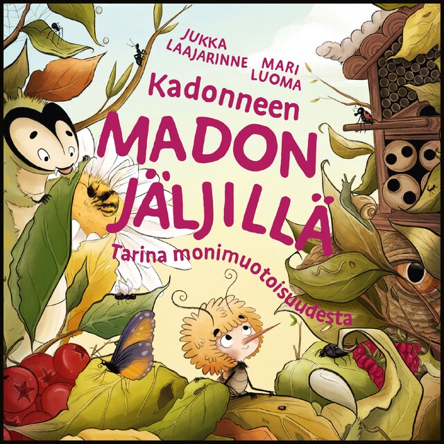 Boekomslag van Kadonneen madon jäljillä