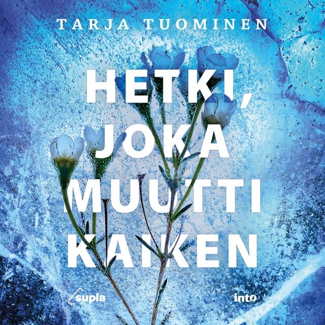 Book cover for Hetki, joka muutti kaiken