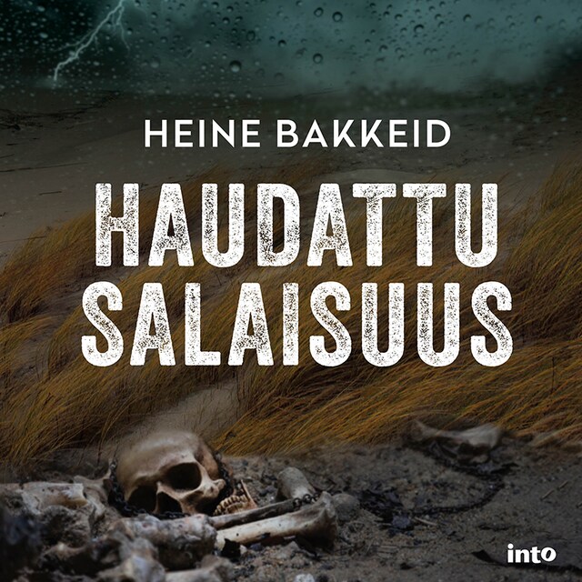 Book cover for Haudattu salaisuus