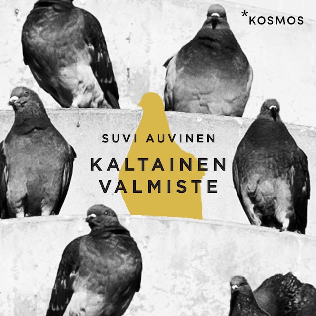 Book cover for Kaltainen valmiste