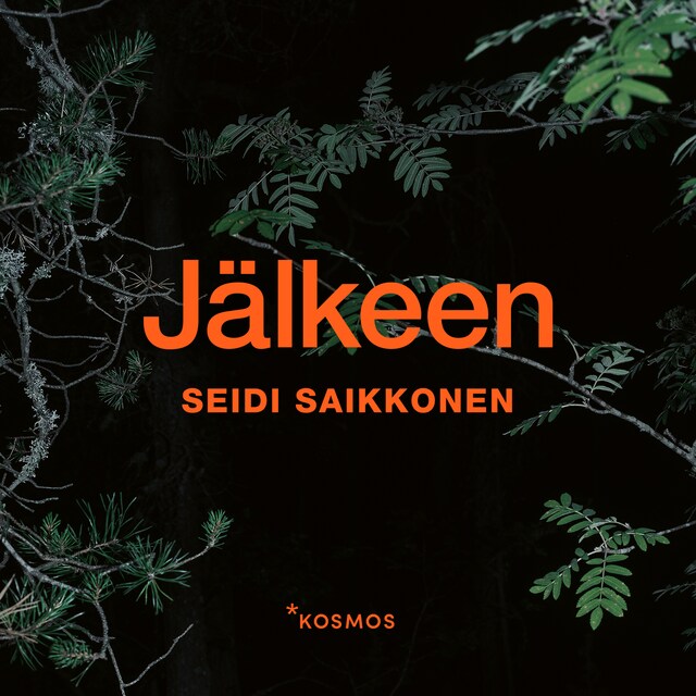 Copertina del libro per Jälkeen