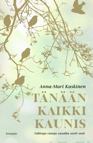 Tänään kaikki kaunis bookCoverFor