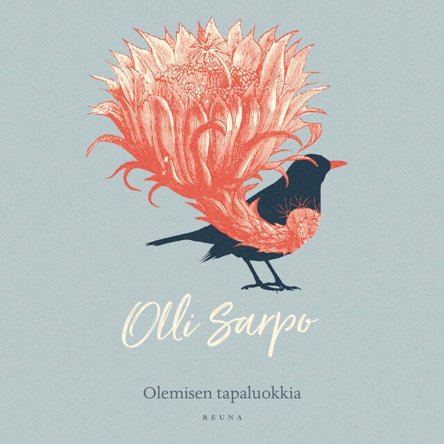 Book cover for Olemisen tapaluokkia