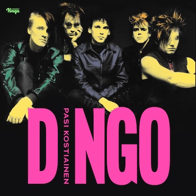 Dingo