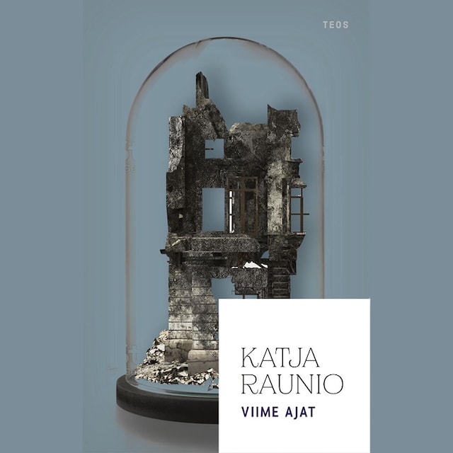 Book cover for Viime ajat