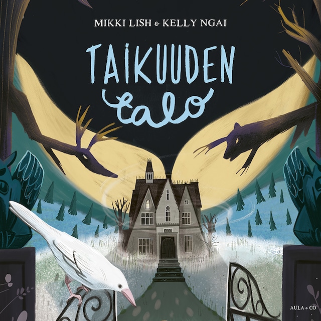 Book cover for Taikuuden talo