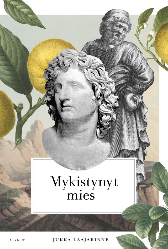 Book cover for Mykistynyt mies