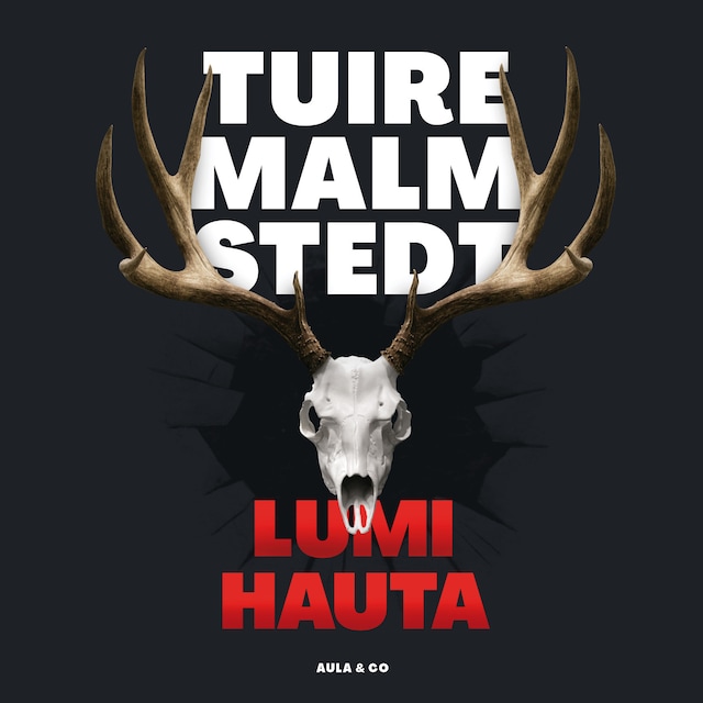 Book cover for Lumihauta
