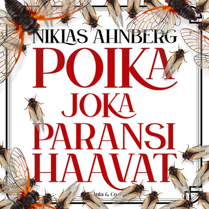 Poika joka paransi haavat bookCoverFor