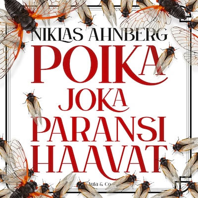 Poika joka paransi haavat