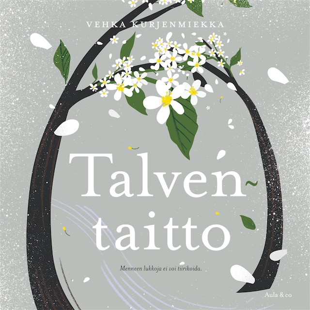 Book cover for Talventaitto