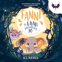 Fanni ja liian jännittävä yö (e-äänikirja)
