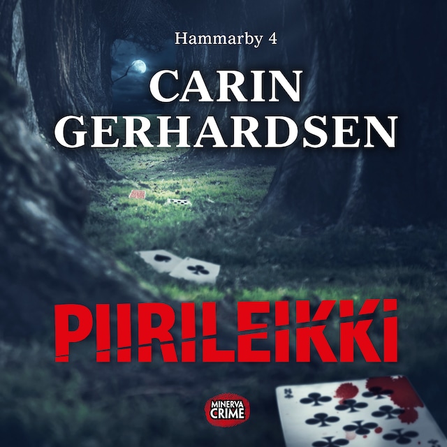 Book cover for Piirileikki