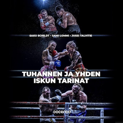 Tuhannen ja yhden iskun tarinat bookCoverFor