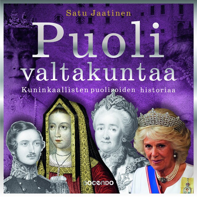 Book cover for Puoli valtakuntaa