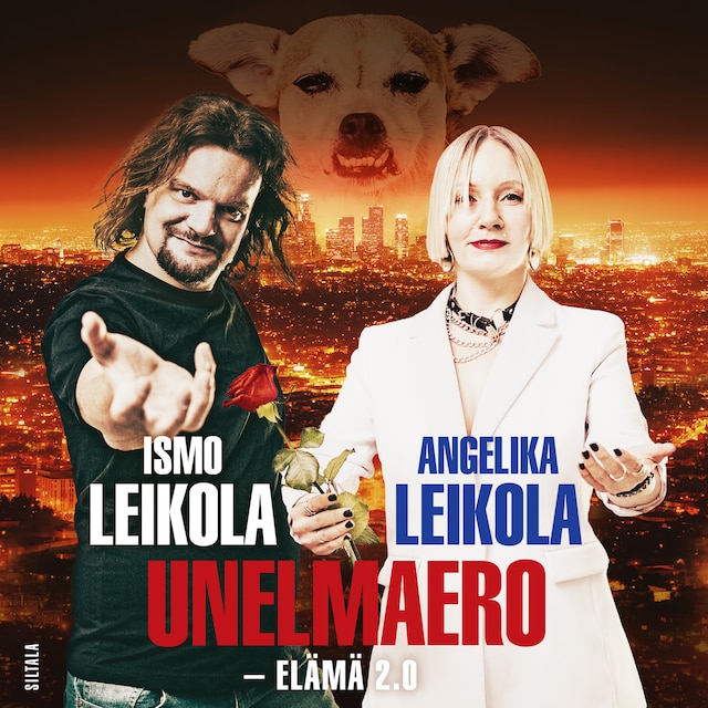 Book cover for Unelmaero
