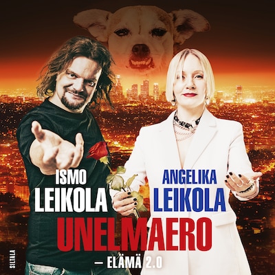 Unelmaero