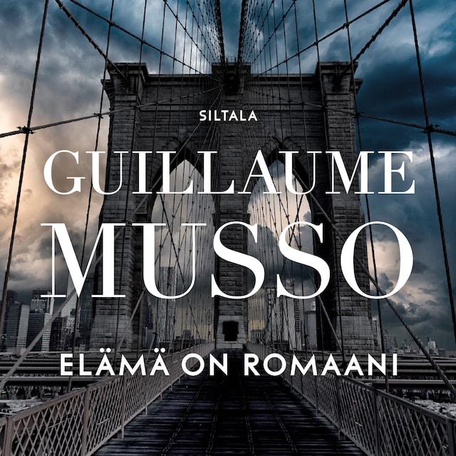 Book cover for Elämä on romaani