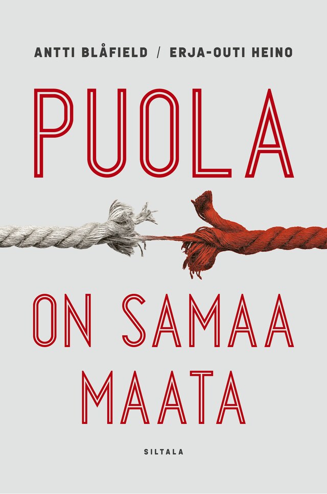 Book cover for Puola on samaa maata