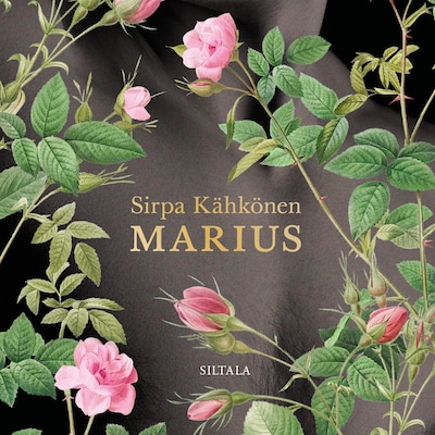 Marius
