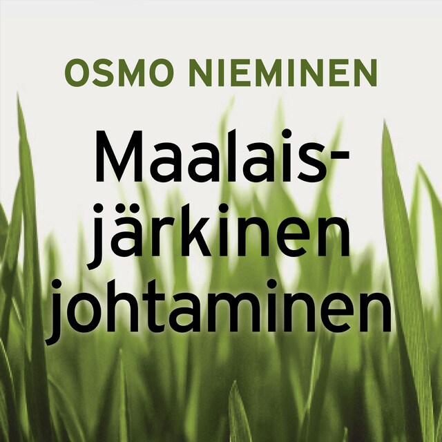 Book cover for Maalaisjärkinen johtaminen