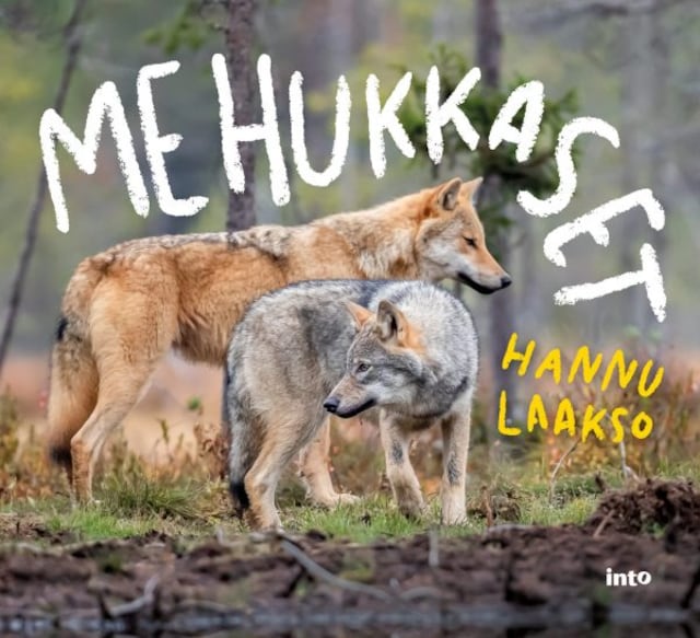 Book cover for Me Hukkaset (e-äänikirja)