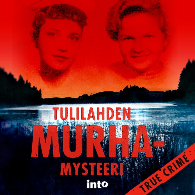 Book cover for Tulilahden murhamysteeri