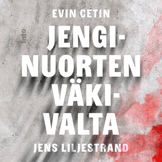 Book cover for Jenginuorten väkivalta