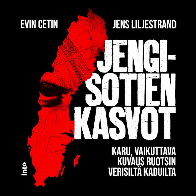 Kirjankansi teokselle Jengisotien kasvot