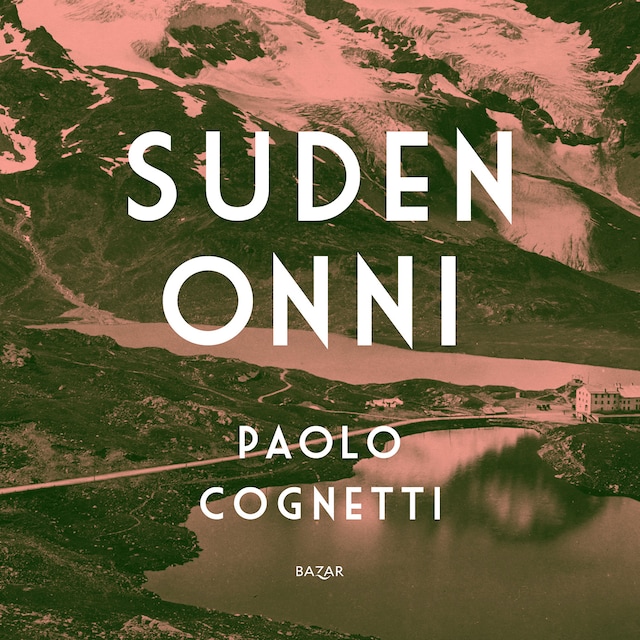 Book cover for Suden onni
