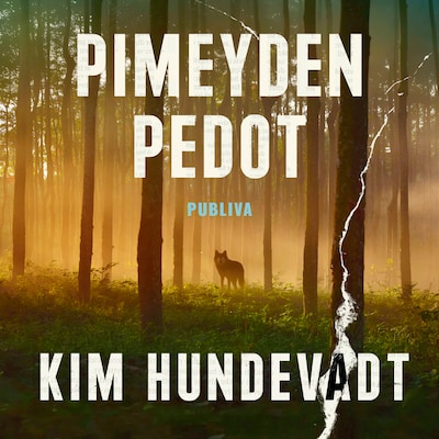 Pimeyden pedot