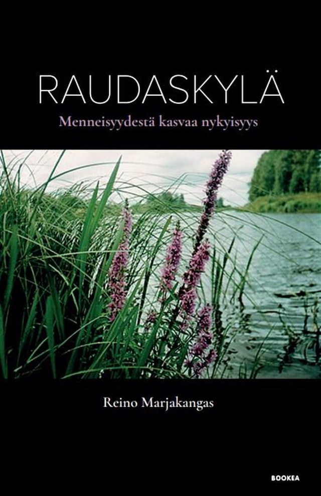 Book cover for Raudaskylä : menneisyydestä kasvaa nykyisyys