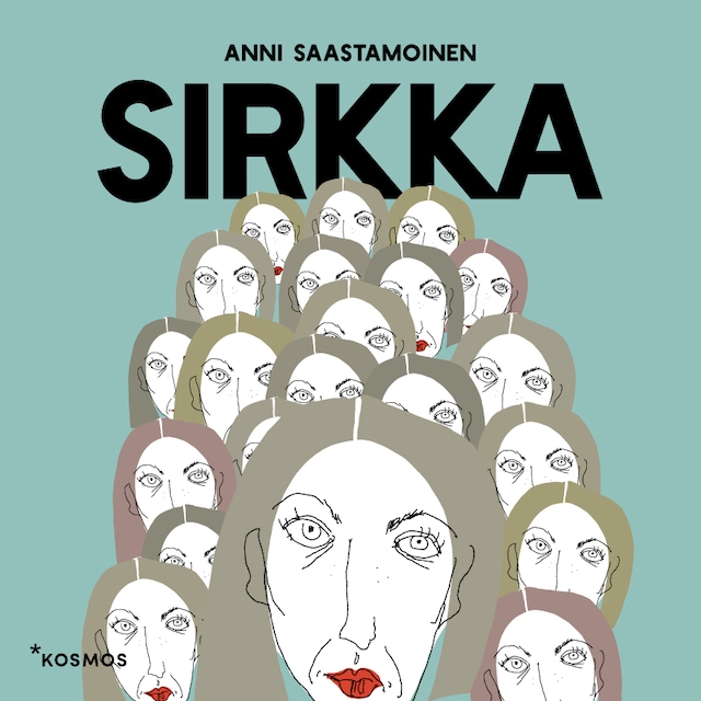 Book cover for Sirkka