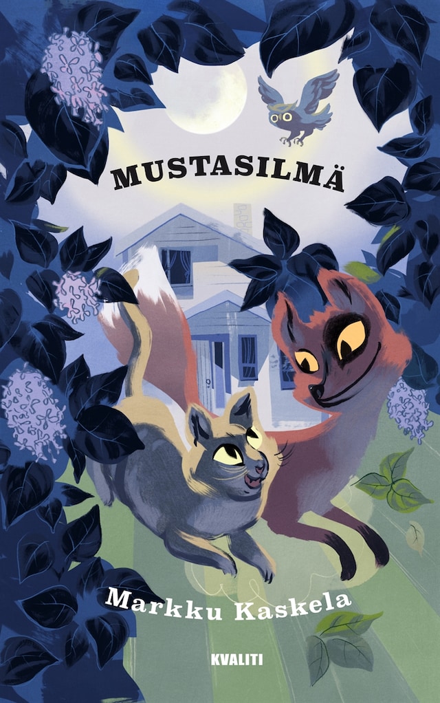 Book cover for Mustasilmä